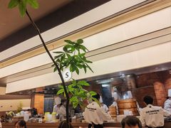 -苏小柳点心·手作小笼包(浦东嘉里城分院)