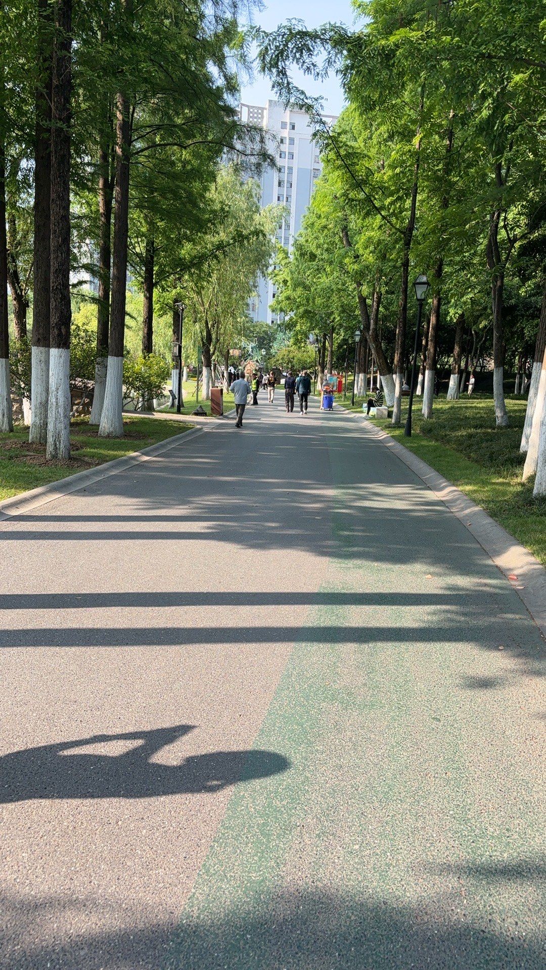 公园漫步轻松走～花冲公园