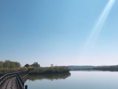 -西青郊野公园