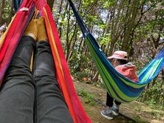 -铁山坪森林公园