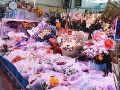 -花鸟鱼虫鲜花绿植市场(玉泉路店)