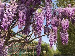 -北京京宝行宝马4S店(闵庄路店)