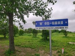 -盐城丹顶鹤湿地生态旅游区