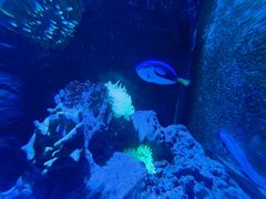 -太平洋海底世界