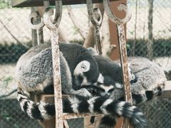 -乐和乐都主题乐园