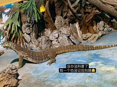 -灵玲国际马戏城