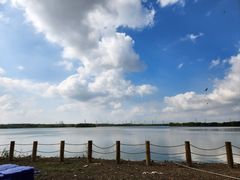 -南湖湿地公园