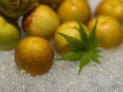 -栾氏荟(柳园店)