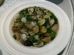 荠菜烩双菇-广玉兰上海菜(德平店)