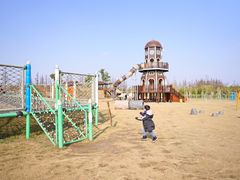 -上海长兴岛郊野公园