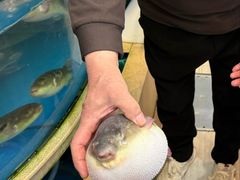 -阳光海鲜城(太仓万达店)