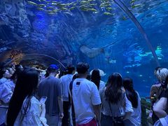 -华夏文旅海洋公园