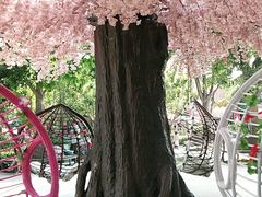 -中华郡文化旅游景区