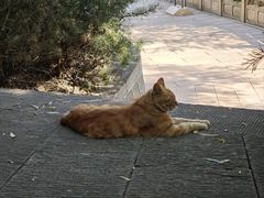 -锦上中式酒馆(南内环店)