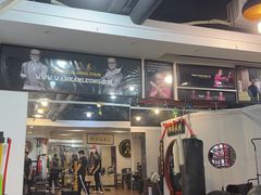 -温鉴良实用咏春拳