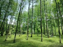 -唐崖土司城遗址