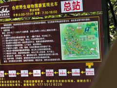-合肥野生动物园