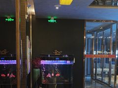 -华夏良子·足道·SPA·艾灸(苏州桥店)