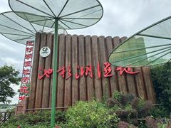 -池杉湖湿地公园