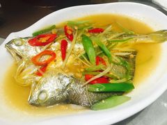 -广东道至正餐厅(区庄店)