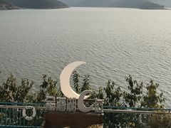-望湖烤鱼