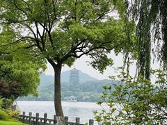 -杭州西湖柳莺里酒店·闻莺厅