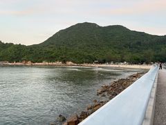 -杨梅坑