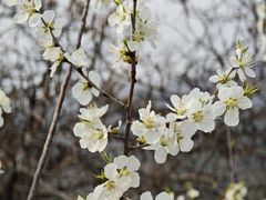 -白水寺森林公园