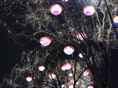 -大雁塔北广场音乐喷泉