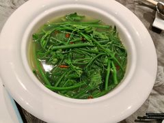 上汤龙须菜-罗汉堂·荷谷(礼智路店)