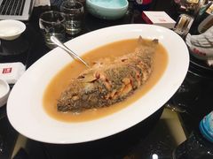 红烧黄河大鲤鱼（49元/斤）-阿庄新豫菜(通泰路店)