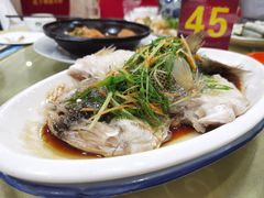 -七哥饭店好吃的客家菜(广电路店)