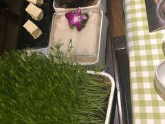 -番食园鲜食火锅(高新店)