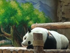 -青藏高原野生动物园