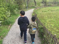 -新江湾城公园