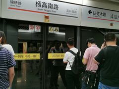 -杨高南路(地铁站)