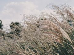 -东钱湖旅游度假区