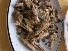 -胖大姐黄辣丁鱼庄(新津店)