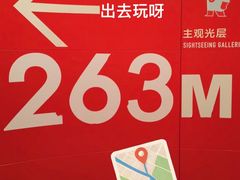 -东方明珠259米全透明悬空观光廊