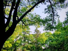 -上海大学(嘉定校区)