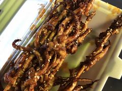 -大学城夜市大排档(凤栖路店)