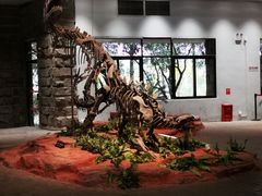 -自贡恐龙博物馆