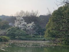 -杭州植物园