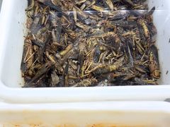 -乔岩保应烧烤店