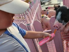 -渔岛海洋度假区