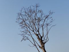 -福神岗公园