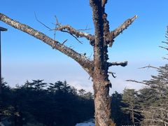 -峨眉山风景名胜区