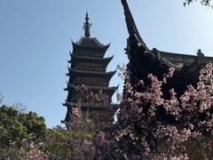 -常熟方塔园