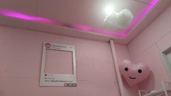 -时尚工厂·科学染发