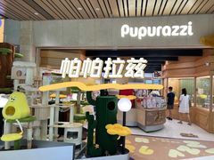 -帕帕拉兹宠物(亚洲旗舰店)